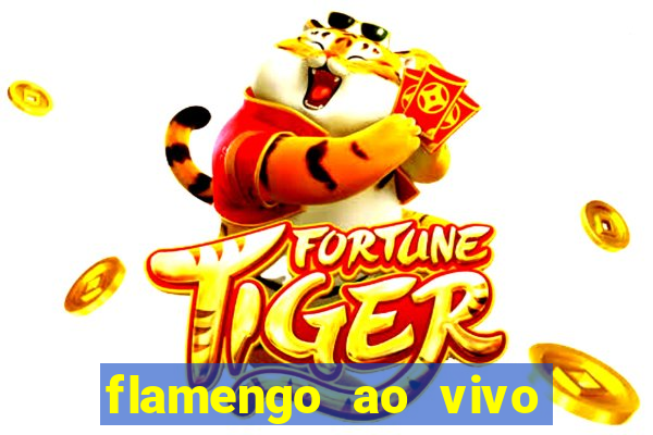 flamengo ao vivo multi canais